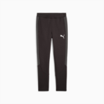 Брюки мужские Puma EVOSTRIPE Pants DK Black