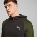 Худи мужской Puma EVOSTRIPE Full-Zip Hoodie DK