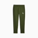 Брюки мужские Puma EVOSTRIPE Pants DK Myrtle