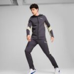 Худи мужской Puma EVOSTRIPE Full-Zip Hoodie DK