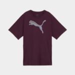 Футболка женская Puma EVOSTRIPE Tee