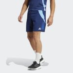 Шорты мужские adidas TIRO24 C DT SHO