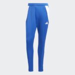 Брюки мужские adidas Tiro 24 Training