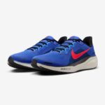 Кроссовки мужские Nike Pegasus 41