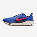 Кроссовки мужские Nike Pegasus 41