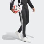 Брюки мужские adidas TIRO24 TRPNT S