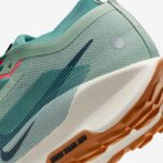 Кроссовки мужские Nike Pegasus Trail 5 GORE-TEX