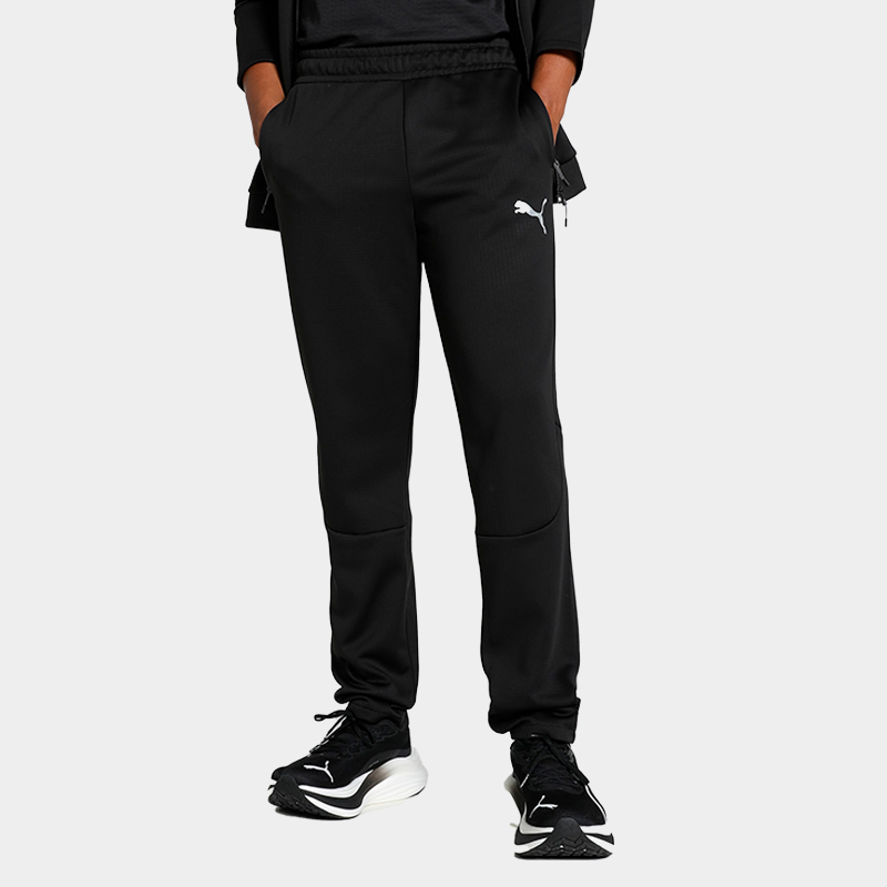 Брюки Puma EVOSTRIPE Warm Pants DK