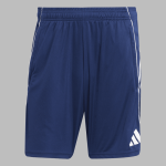 Шорты тренировочные adidas TIRO25C TR SHO